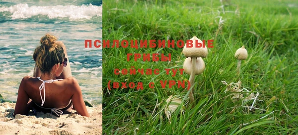 a pvp Бронницы